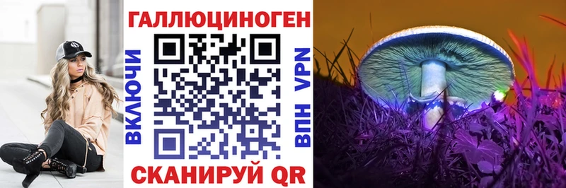 Псилоцибиновые грибы Psilocybe  OMG ССЫЛКА  Ахтырский  где найти  